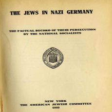 American Jewish Committee - The Jews in Nazi Germany_ The Factual Record of their Persecution by the National Socialists American Jewish Committee - The Jews in Nazi Germany_ The Factual Record of their Persecution by the National Socialists